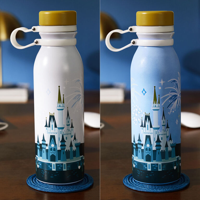 Disney Water Bottle - Disney Princess - Fantasyland Castle